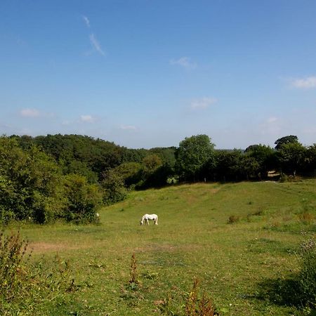Le Pre Du Poney Villa Spa Kültér fotó