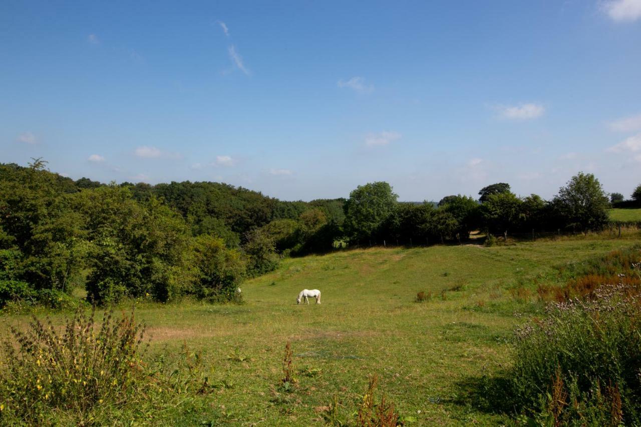 Le Pre Du Poney Villa Spa Kültér fotó